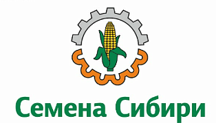 Семена Сибири 54